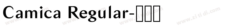 Camica Regular字体转换 Camica Regular字体转换